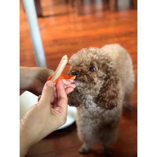🐱🐶 Xúc Xích Cho Cún Mèo