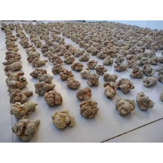 500g Tam thất bắc loại 5 củ/100g