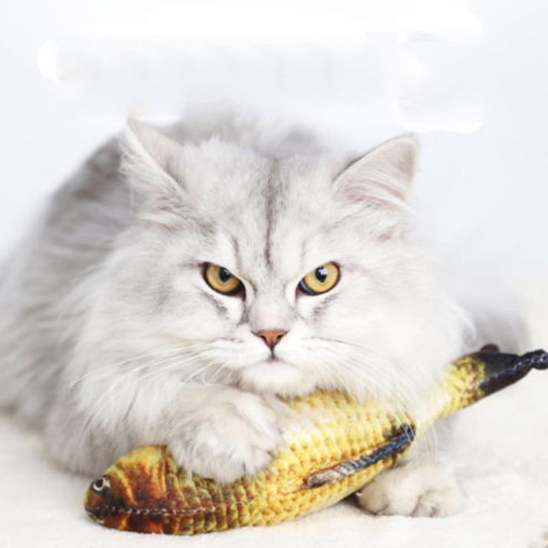 Đồ chơi thú nhồi bông hình cá vui nhộn cho mèo cưng