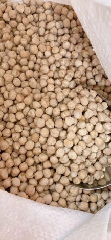 Đậu chickpeas