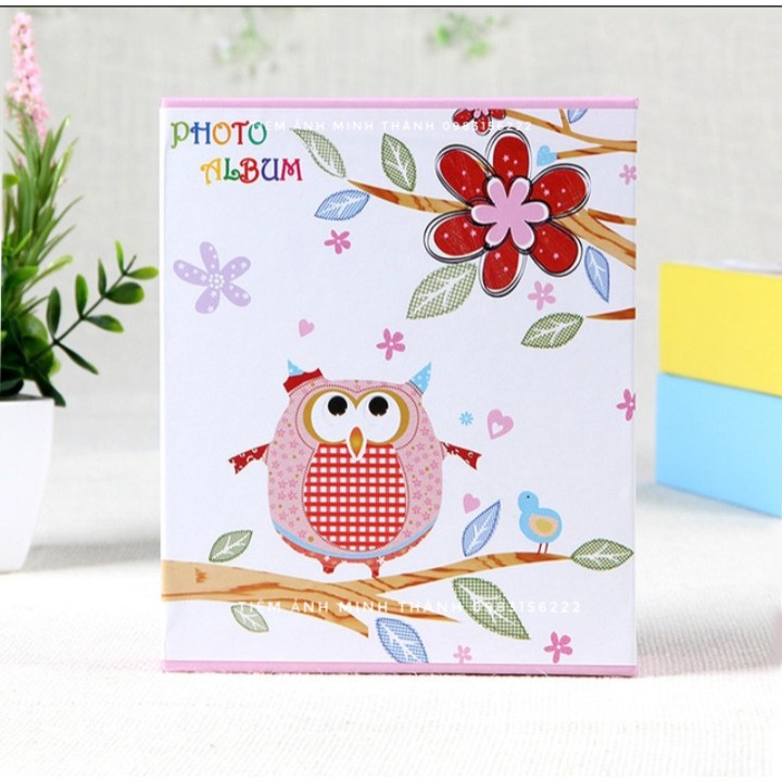 Album 10x15 có hộp đựng 100 ảnh