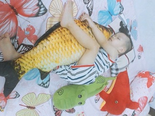 Gối cá chép bông