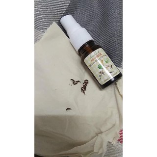 tinh dầu diệt kiến ba khoang,muỗi,gián