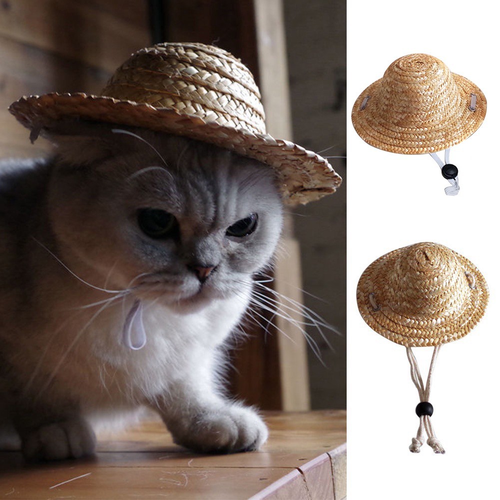 NÓN CÓI MŨ RƠM ĐỘI ĐẦU CUTE CHO CHÓ MÈO