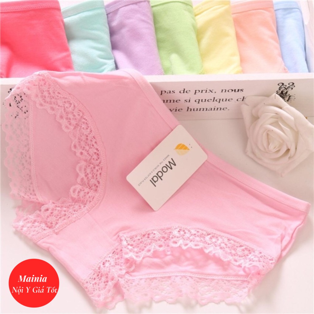 [Rẻ Nhất Shopee] Quần Lót Nữ Cotton Viền Ren Size L XL Cho Nữ Quần Chíp Co Giãn Xuất Khẩu Rẻ Đẹp Mainia Sho | BigBuy360 - bigbuy360.vn