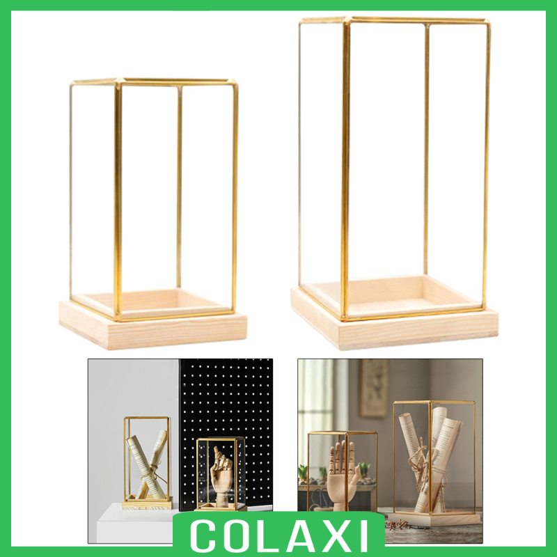 [COLAXI]Glass Display Case Decorative Cuboid Antique Artwork Showcase Terrarium