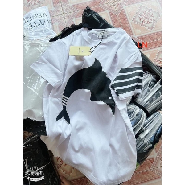 Áo phông ba vạch cá LN11