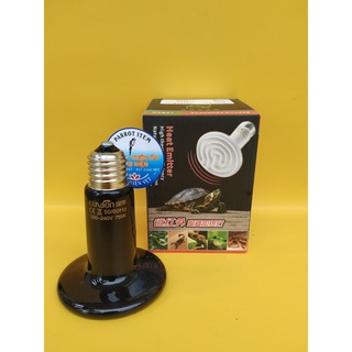Đèn sưởi cho bò sát, chim, vẹt 75w