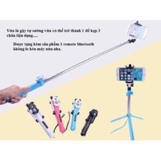 Gậy tự sướng 