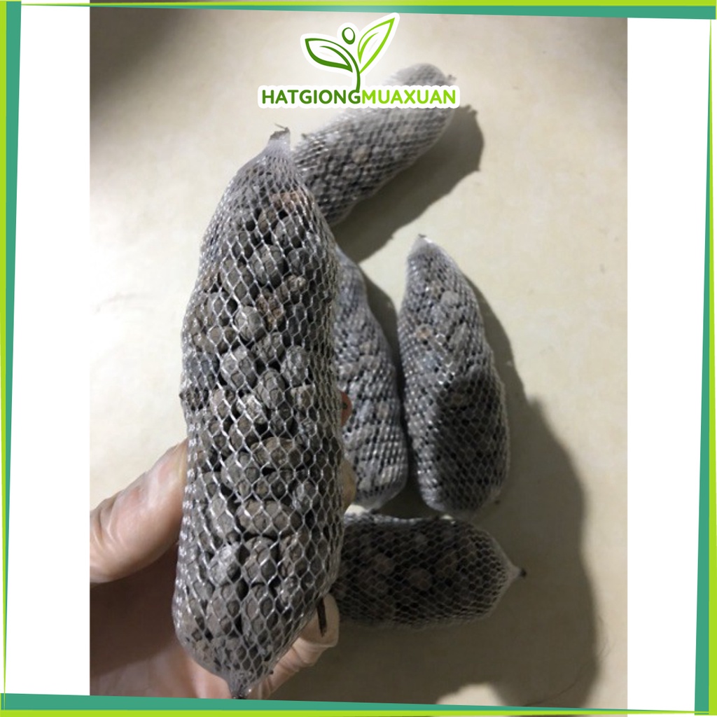 Combo 5 gói phân dê 10cm bón lan hàng đẹp, phân phối chuyên nghiệp.