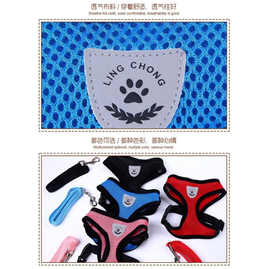 Giảm giáCTVD - Bộ Dây dắt chó mèo kèm áo lưới thời trang giá rẻ