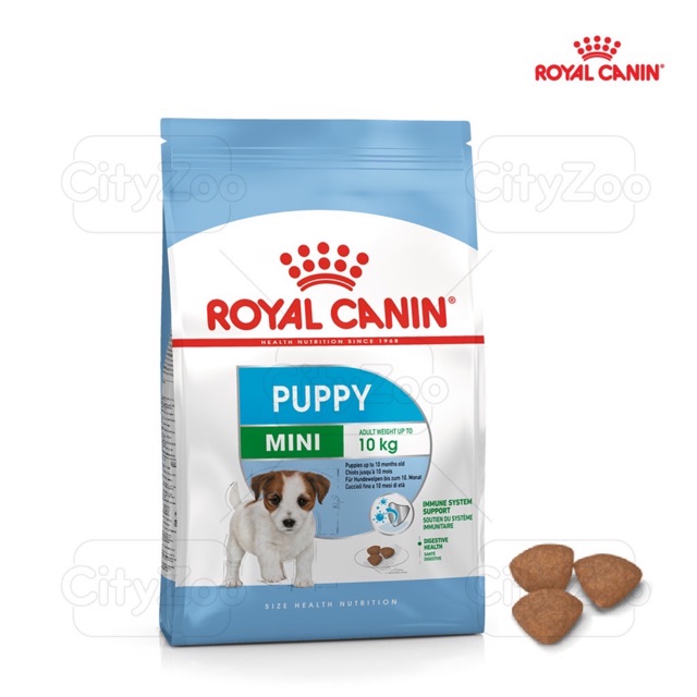 [Siêu Tiết kiệm]Thức ăn hạt cho chó con Royal canin mini puppy 2kg