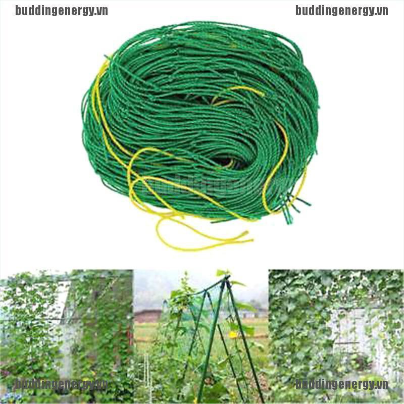 Lưới Trồng Cây Dây Leo Tiện Dụng
