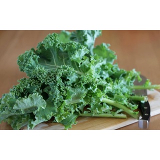 Cải Xoăn(Cải Kale).