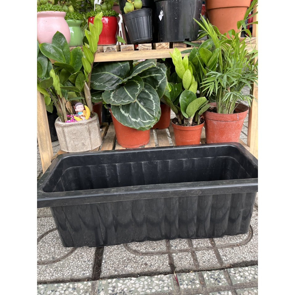 Chậu dài nhựa mini 48x20 phù hợp ban công nhỏ xinh, trồng được các loại hoa và rau