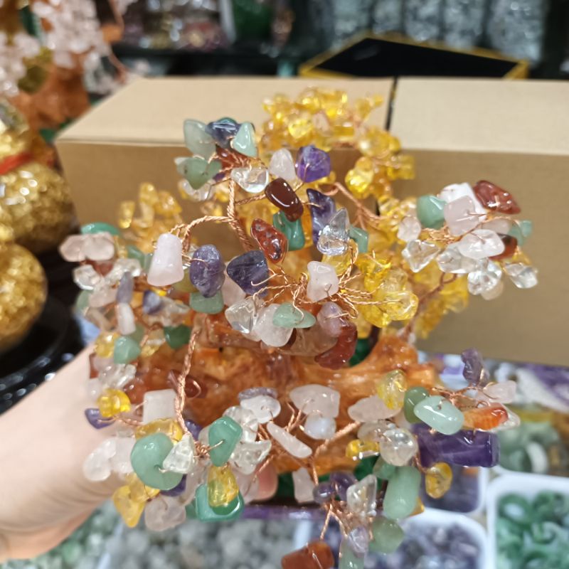 Cây đá T.A ngũ sắc kích tài lộc may mắn