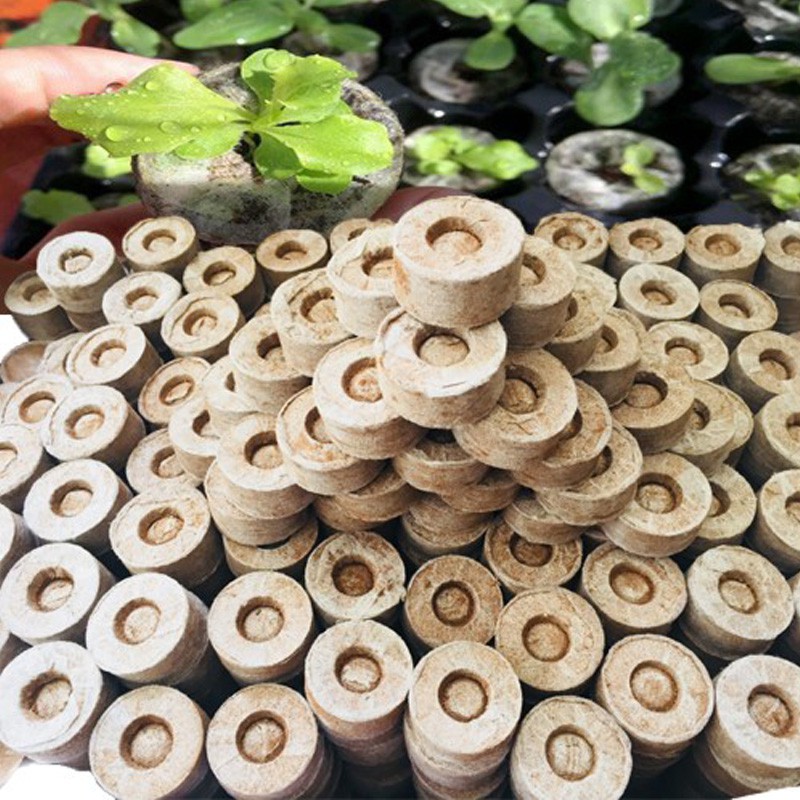 10 viên nén ươm mầm kích thích hạt nảy mầm - Tỷ lệ lên đến 95% - Năng suất cao - Viên nén xơ dừa ươm hạt giống