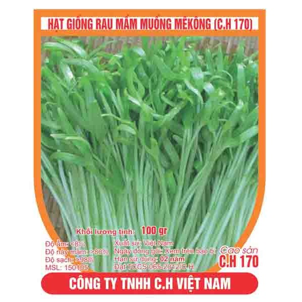 Hạt giống rau mầm muống