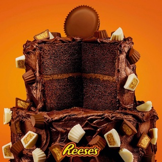 HOT [USA 05/2023]  15 Viên lẻ Socola Reese's - Socola Mỹ