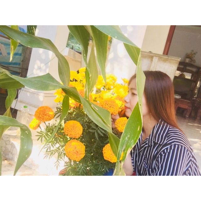 dangngocthuy2002, Cửa hàng trực tuyến | BigBuy360 - bigbuy360.vn