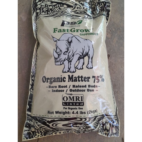 Giống sương sâm đã có rễ