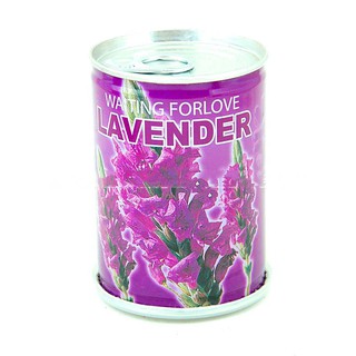 HẠT GIỐNG HẠT ĐẬU THẦN KỲ (giá giảm rẻ