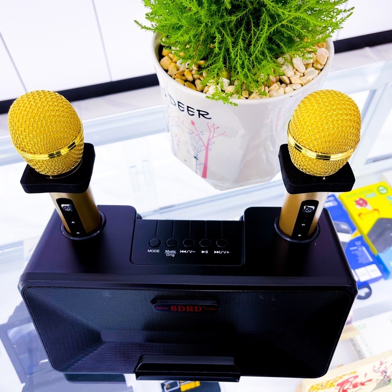 Loa Hát Karaoke Bluetooth SD-301 Kèm 2 Micro Không Dây