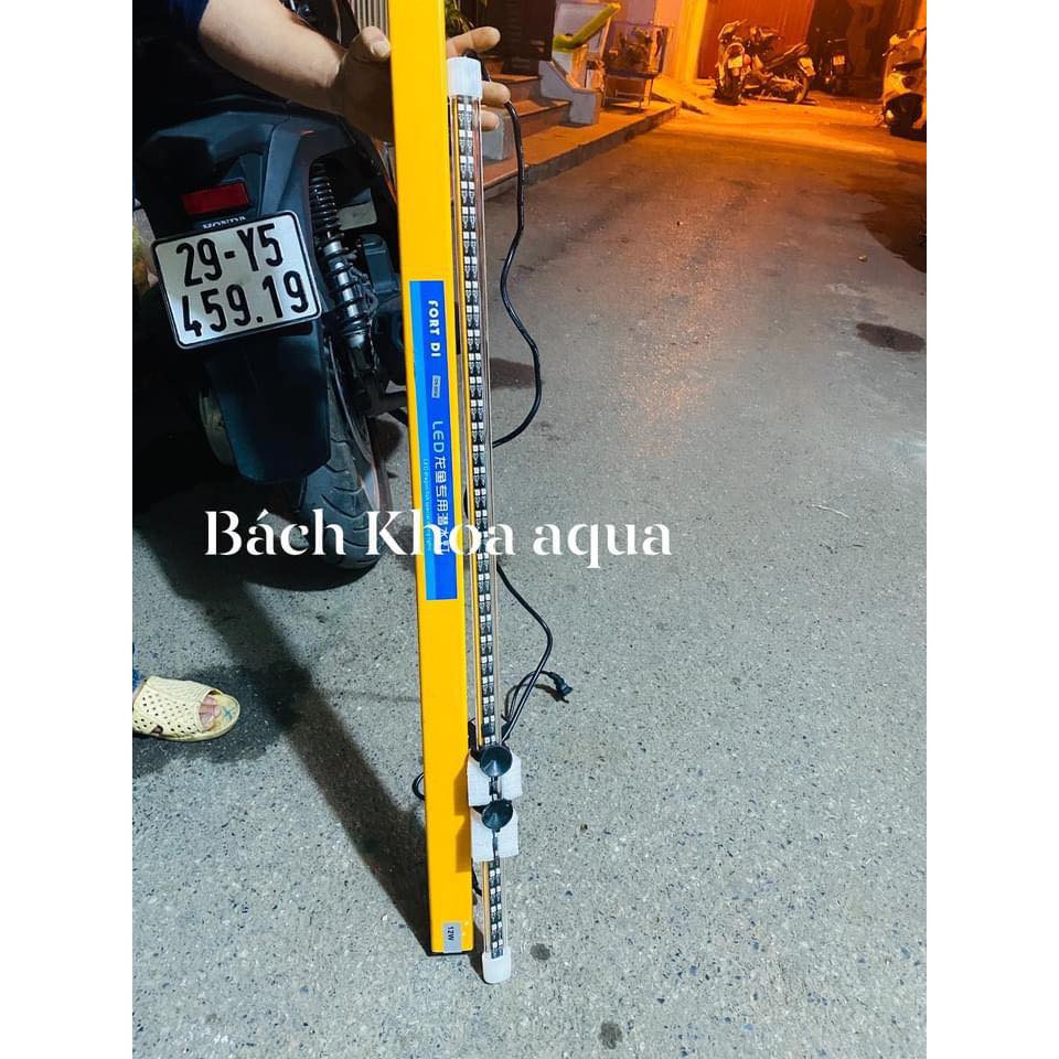 Led Tanning Fort Di 2 Hàng Bóng