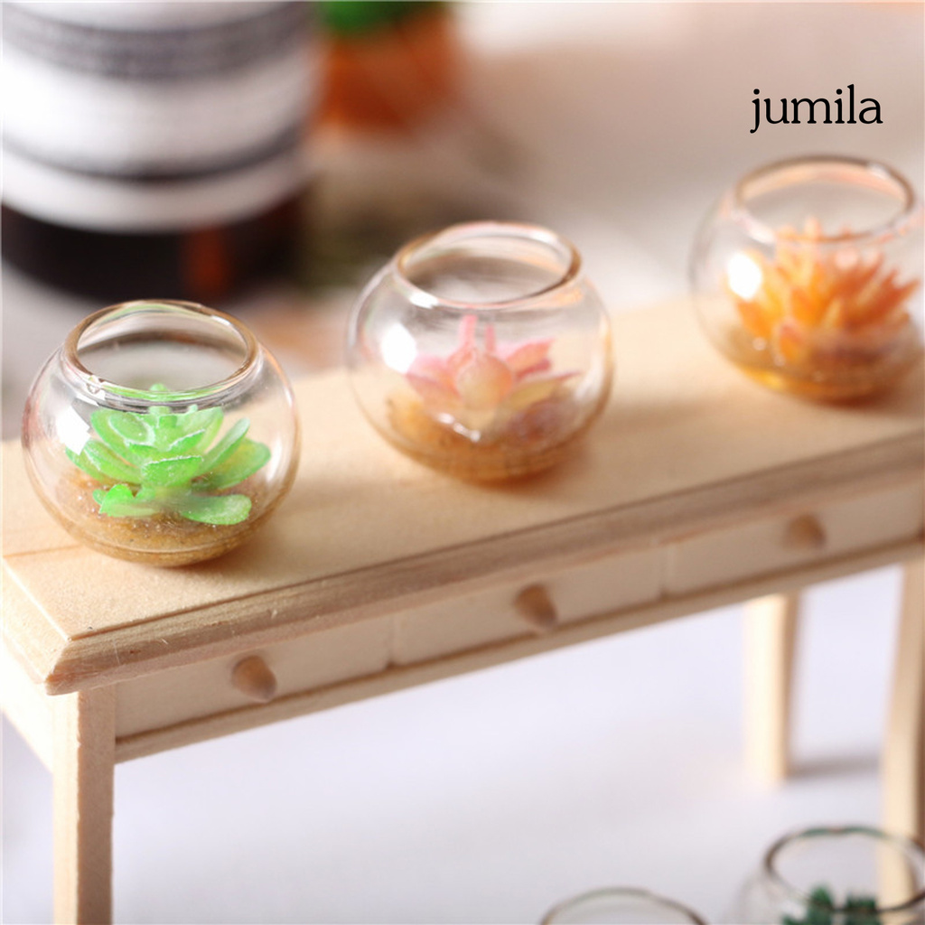 Chậu Cây Mọng Nước Mini Trang Trí Nhà Búp Bê