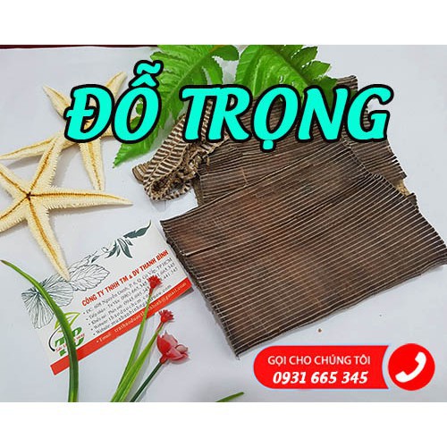 Đỗ Trọng 100gr Loại 1 Chất Lượng - Cây Thuốc Nam Thanh Bình