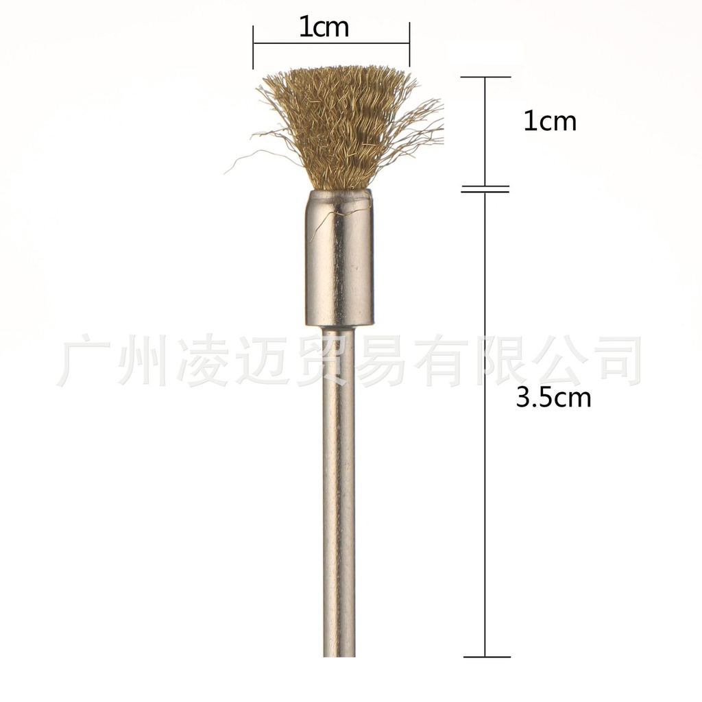 Cây vệ sinh đầu mài