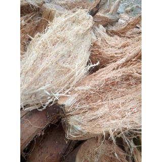 Sơ dừa miếng trồng lan/ lót châu