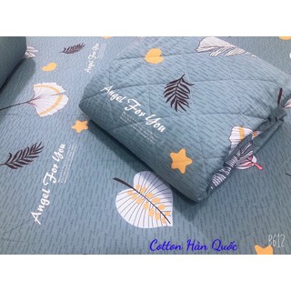 Drap cotton hàn quốc( bộ 4 món, 1 drap, 2 áo nằm, 1 áo ôm)