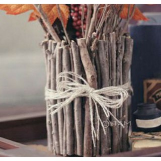 Cành cây tự nhiên dài 40-50cm