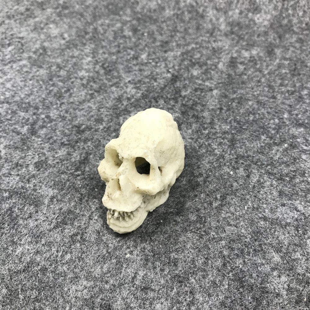 Mô hình đầu lâu nhựa trang trí bể cá cảnh