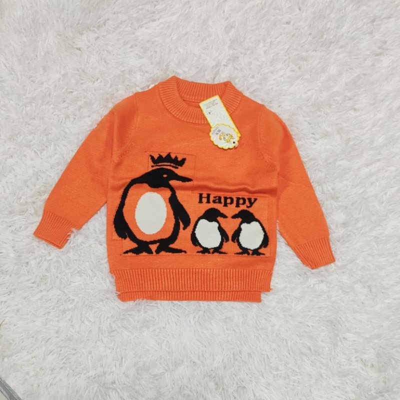 ÁO LEN HÌNH CHIM CÁNH CỤT