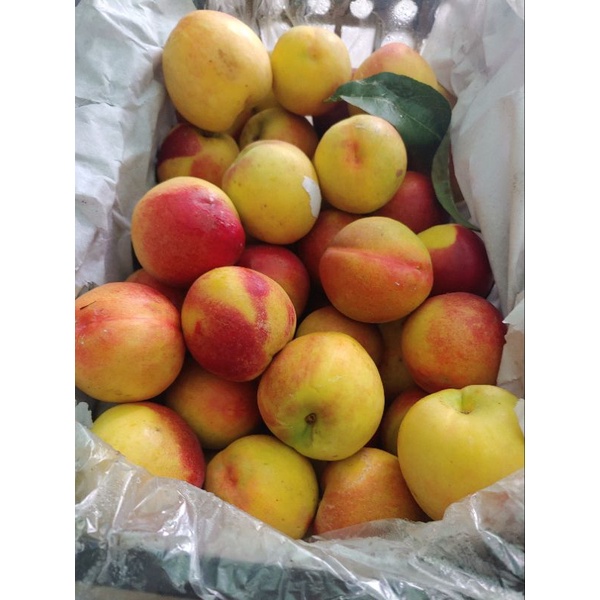HCM Free Ship - Đào Đỏ Sapa giòn ngọt Combo 3kg