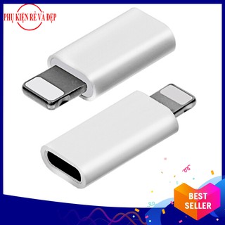Combo 2 đầu chuyển đổi từ chân Type C (Cái) sang đầu Iphone (Đực)