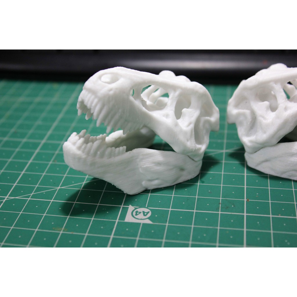 Mô hình đầu lâu khủng long bạo chúa, xương khủng long,Tyrannosaurus rex  trang trí chuồng bò sát, halloween, kinh