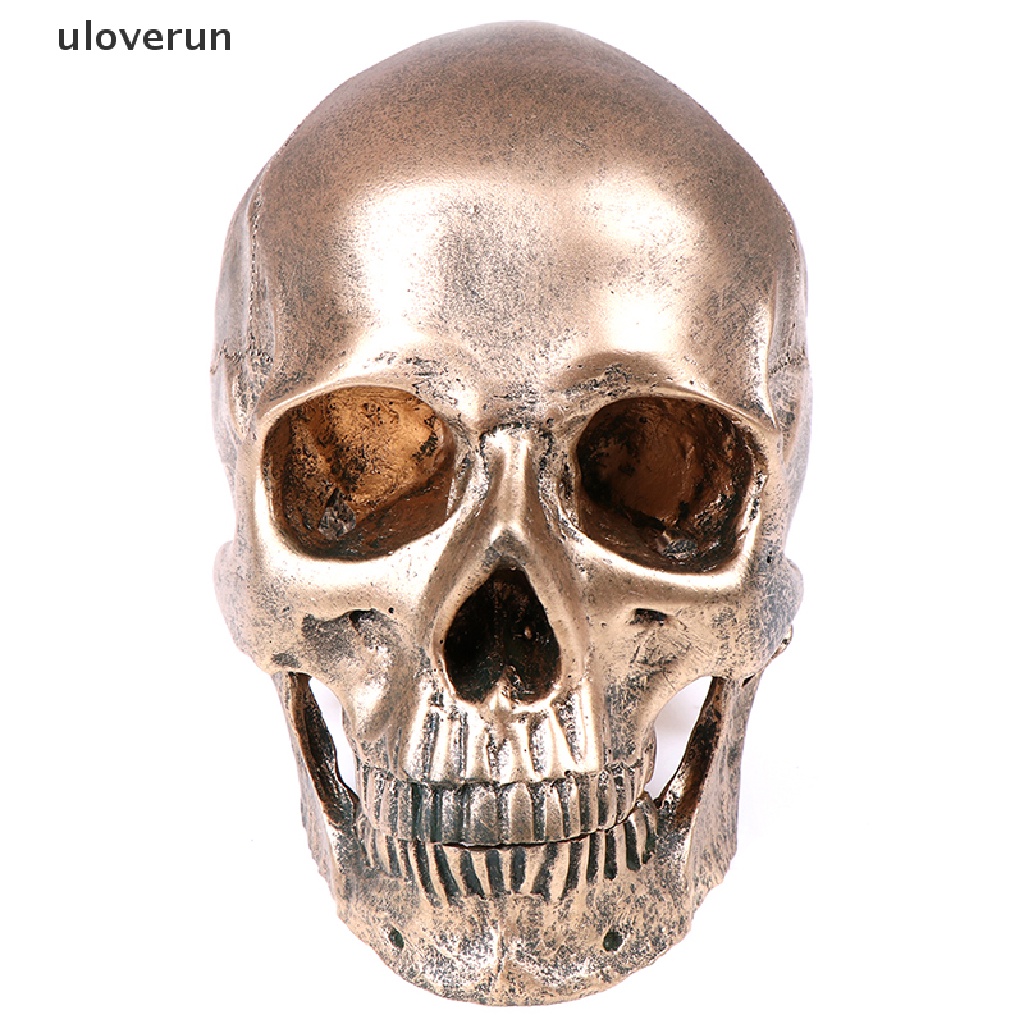 Mô Hình Đầu Lâu Người Bằng Nhựa Resin Đồng Tỉ Lệ 1: 1 Trang Trí Halloween