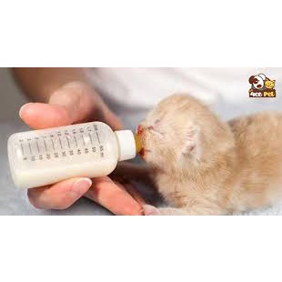 Sữa bột thay thế sữa mẹ Prema Lac nhập Thái