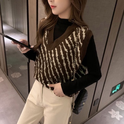 Áo dệt kim không tay cổ chữ v họa tiết ngựa vằn thời trang dành cho nữ | BigBuy360 - bigbuy360.vn