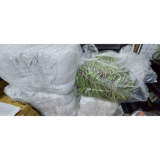 Combo 5kg khăn cân ký 30x30_Trắng
