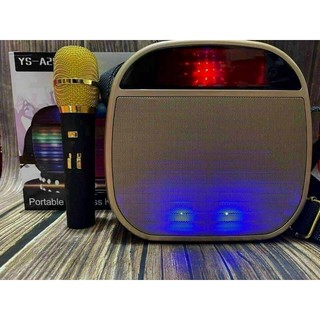 Loa karaoke mini YS-A25