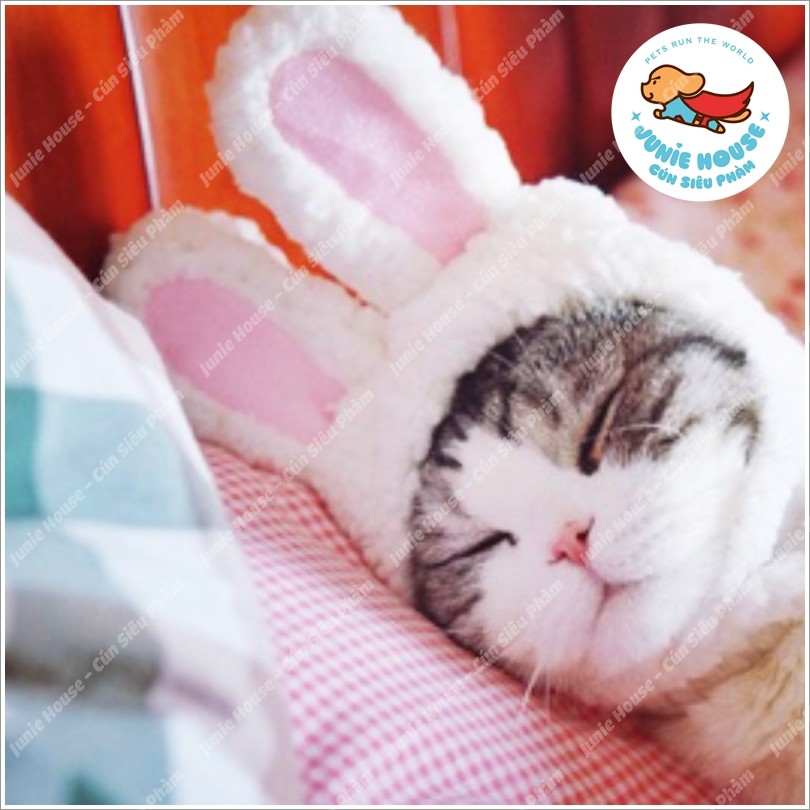 Nón con thỏ trắng dễ thương cho chó mèo