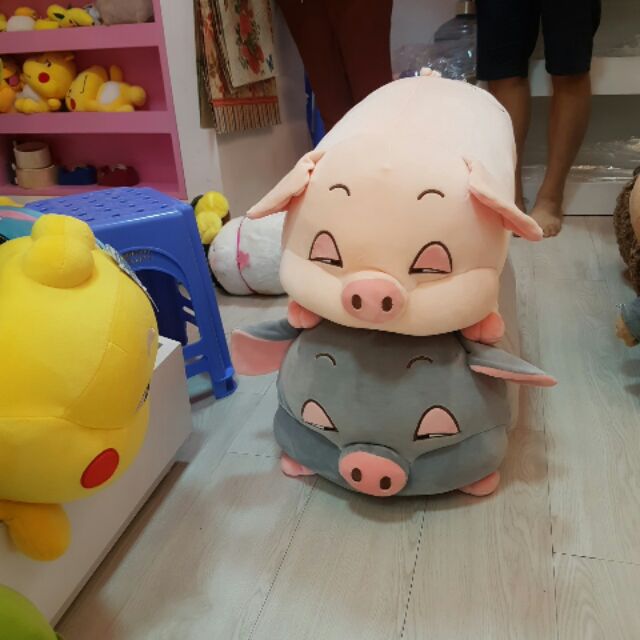 Lợn híp 1m