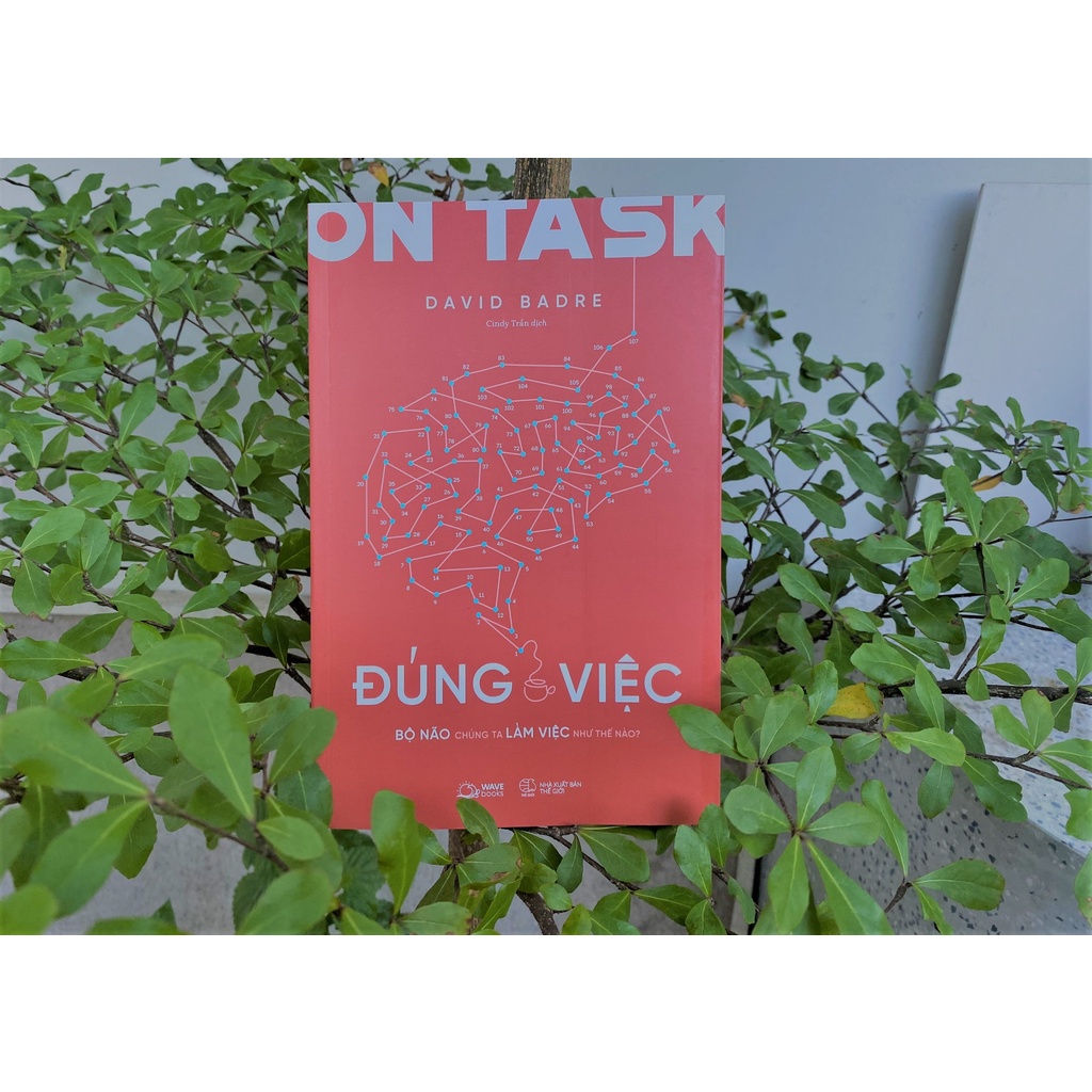 Sách On Task - Đúng Việc - Bộ Não Chúng Ta Làm Việc Như Thế Nào?
