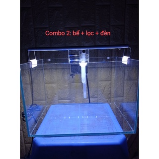 Combo bể cá+lọc+đèn. Chỉ cần về chơi