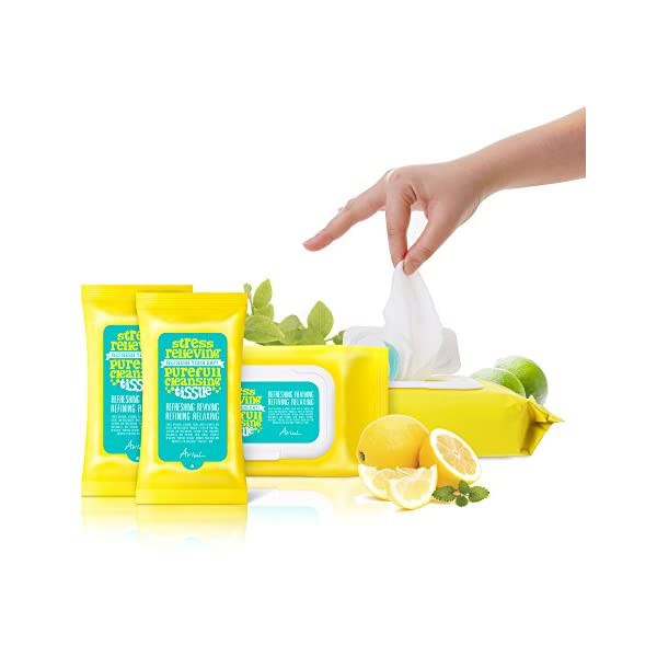 Khăn giấy tẩy trang Ariul Stress Relieving Purefull Cleansing Tissue (15 sheets)