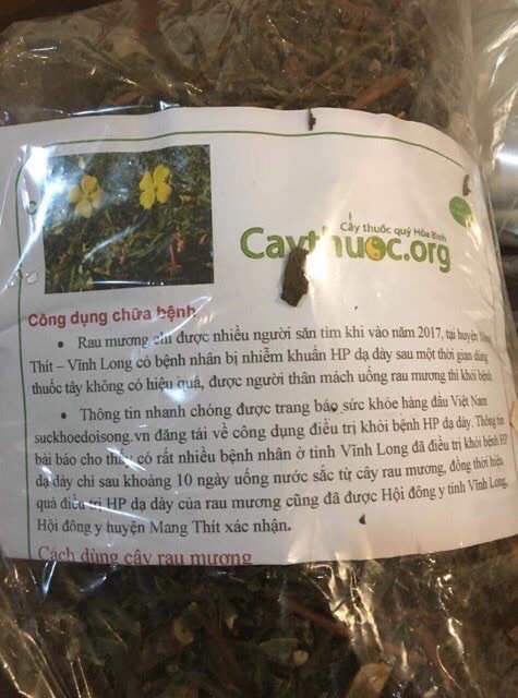 Cây rau mương hỗ trơ HP dạ dày 1 kg